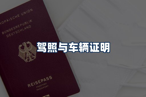 车辆证明展示