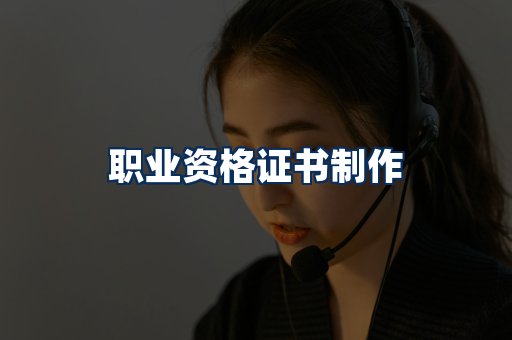 职业资格展示